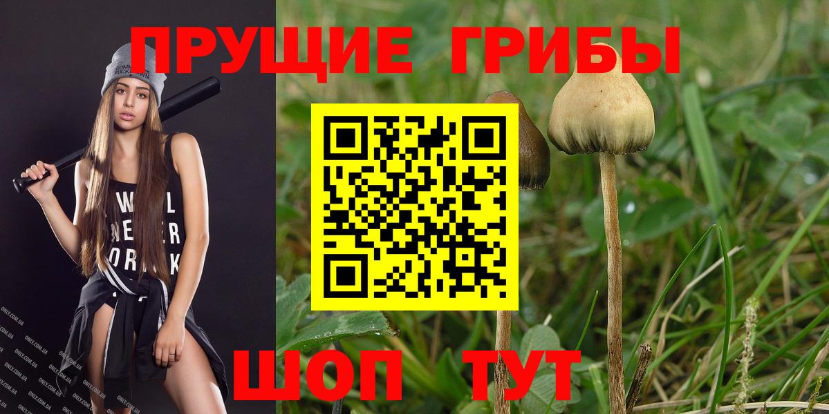 Галлюциногенные грибы MAGIC MUSHROOMS  Вход с VPN  Новый Уренгой 